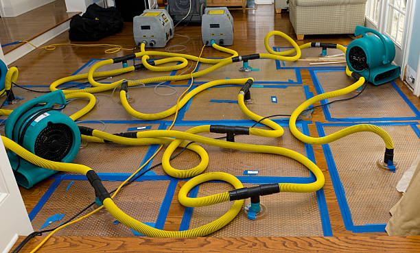 Professional Flood Damage Restoration technician working in Jefferson, TX